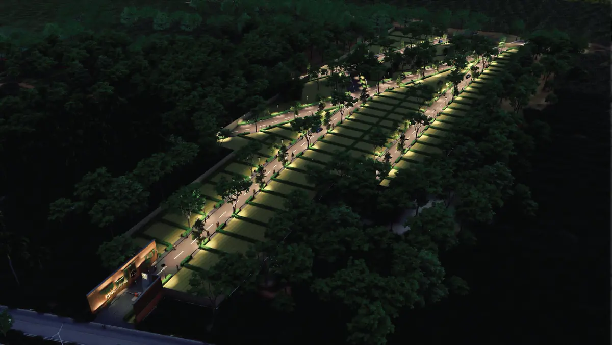Night aerial of Forest Trails: lit avenues and plots inside the surrounding forest
