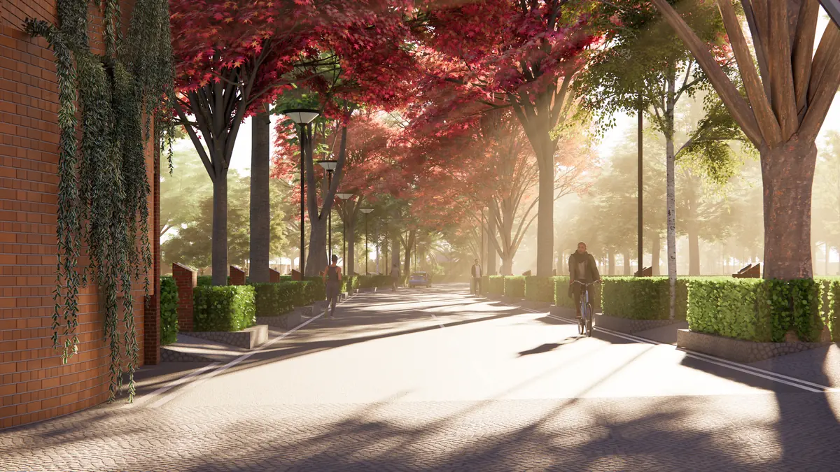 A cyclist on a misty avenue lined with red-leaved trees